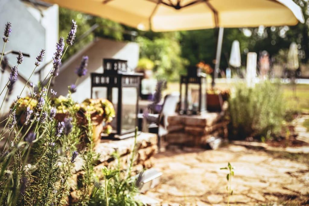 Luxury Villa Cetiri Hrasta Pićan Buitenkant foto