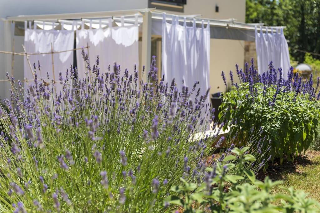Luxury Villa Cetiri Hrasta Pićan Buitenkant foto