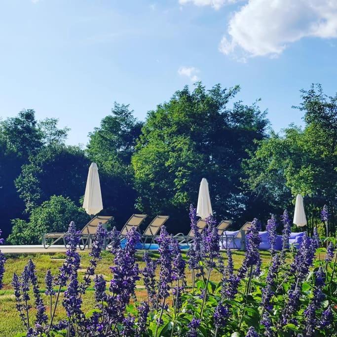 Luxury Villa Cetiri Hrasta Pićan Buitenkant foto