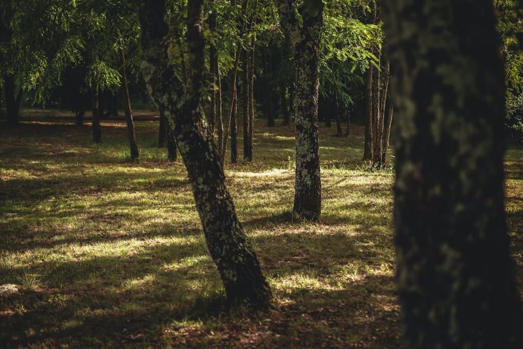 Luxury Villa Cetiri Hrasta Pićan Buitenkant foto